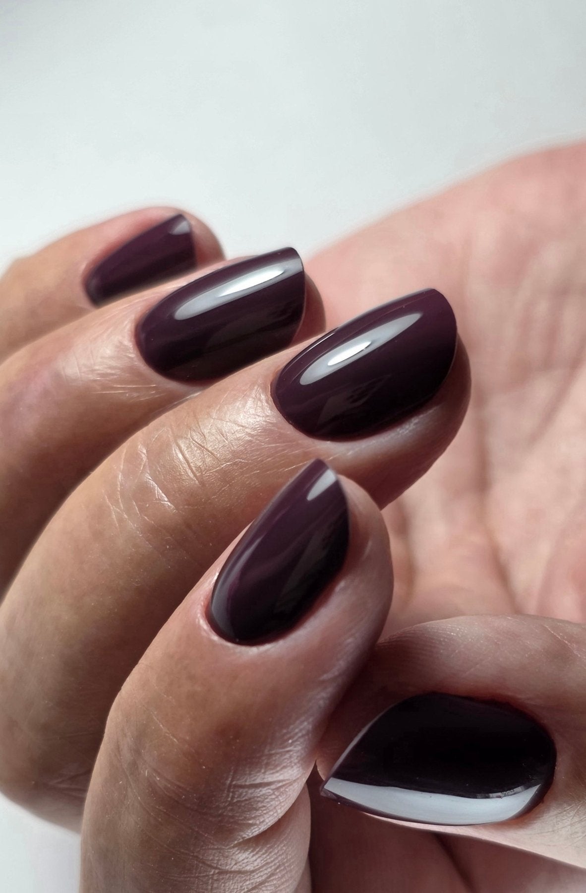 Pose du Gel Polish Cake prune foncé sur ongles en amande, gros plan sur fond blanc