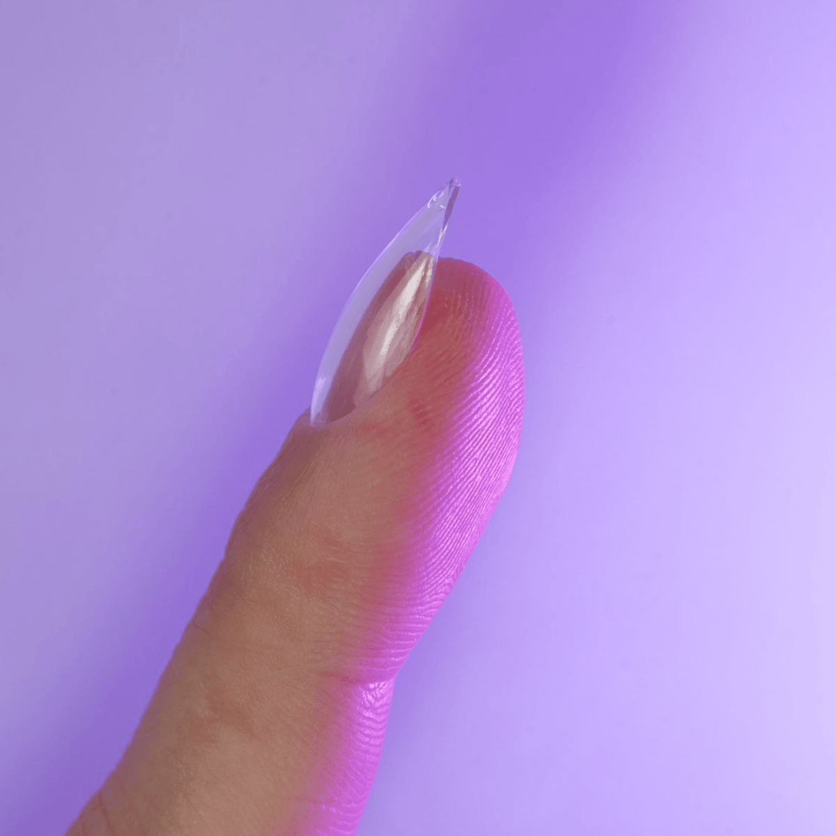 Profil d'une capsule américaine amande courte montrant la courbure C-curve