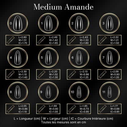 Guide des tailles des capsules américaines amande médium : longueur, largeur et courbure intérieure par numéro